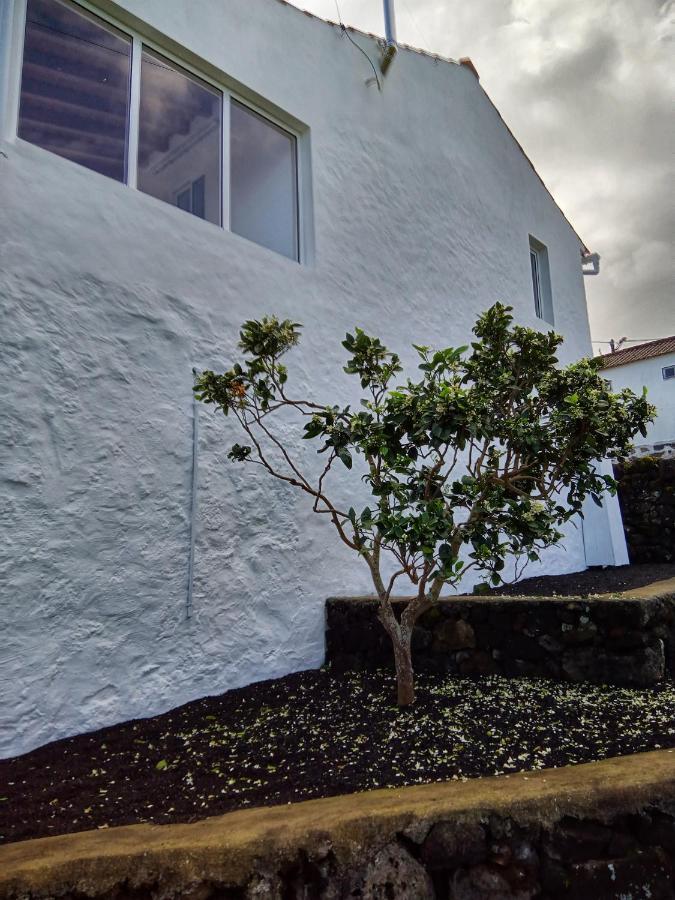 Villa Casa do Marcelino Lagarto São Roque do Pico Exterior foto